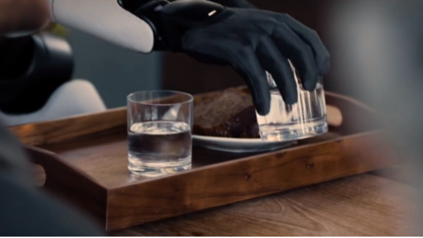 人形機(jī)器人：空心杯電機(jī)&無框力矩電機(jī)