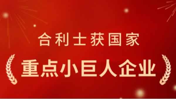從小巨人到重點(diǎn)小巨人：合利士憑什么再獲國(guó)家認(rèn)可？
