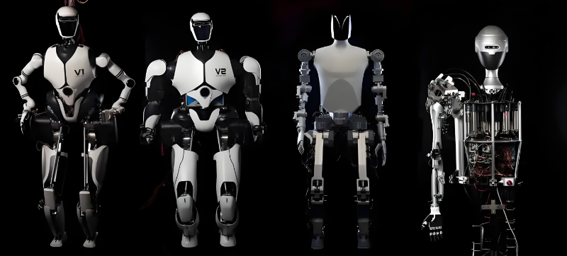 人形機器人種類-網(wǎng)圖